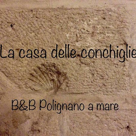 La Casa Delle Conchiglie B&B 滨海波利尼亚诺 外观 照片